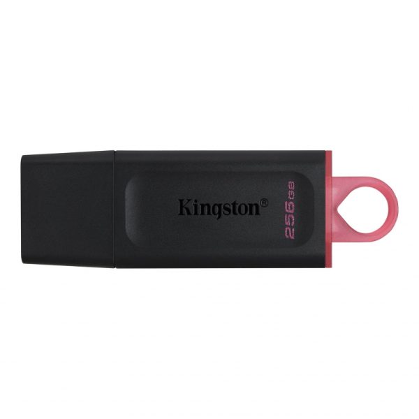 Kingston KNG FLS USB-256GB-DTX/256GB