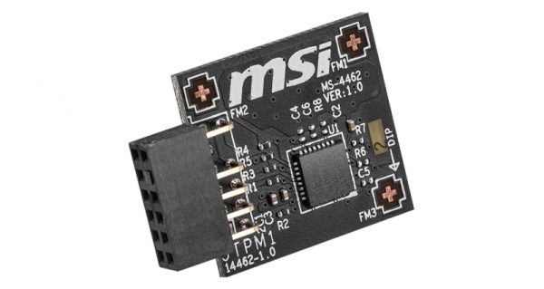 MSI MSI LAN MODULE-NIC-MSI-TPM2.0-4462