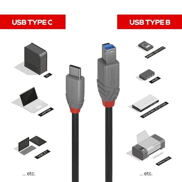 Lindy 3m USB 3.2 Type C To B - Image 2