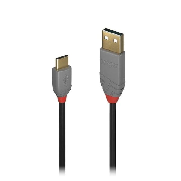 Lindy 3.0m USB2 Type A to C