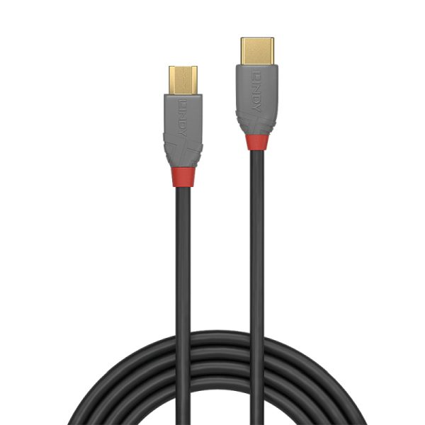 Lindy .5m USB2 C-Micro-B Cable - Image 2