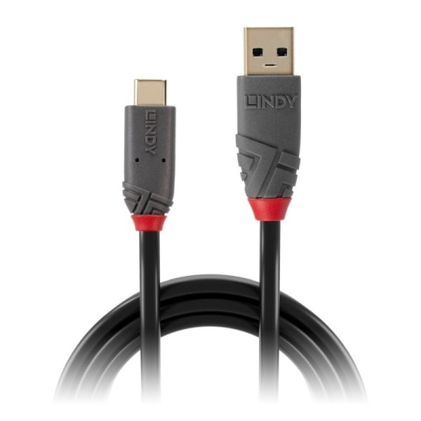 Lindy 1m USB to USBC Anthra - Image 2