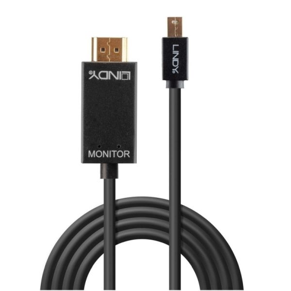 Lindy 2m Mini Disp to HDMI - Image 2