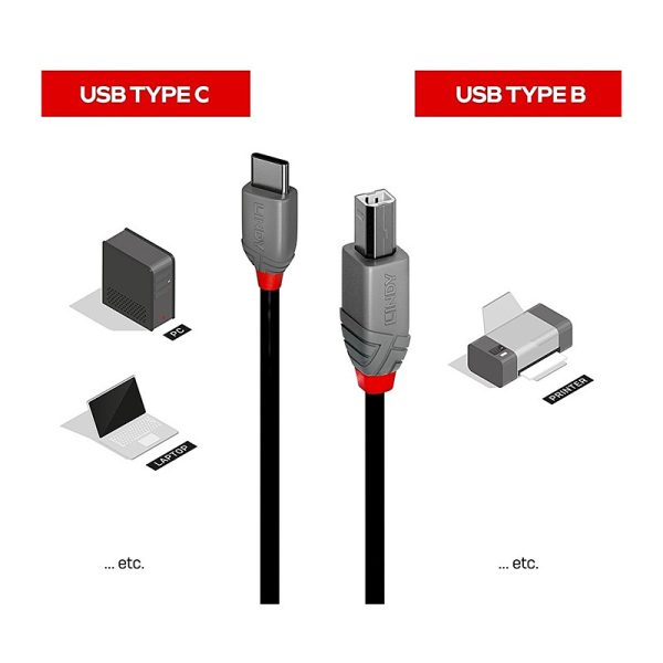 Lindy 0.5m USB 2.0 Type C to B - Image 3