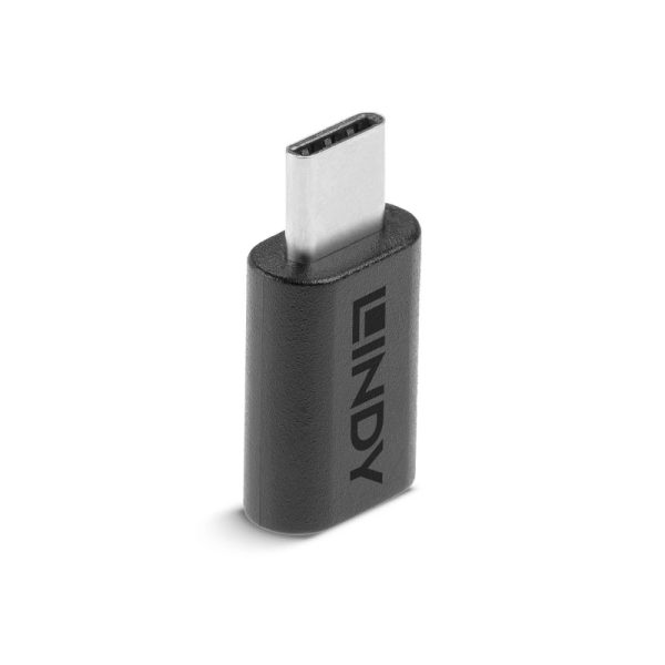 Lindy USB 3.2 C to C Adapt