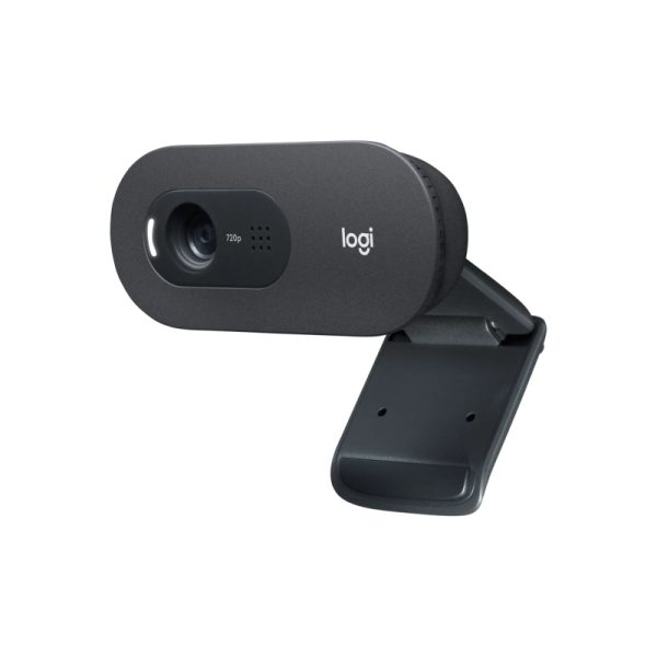 Logitech C505 Webcam