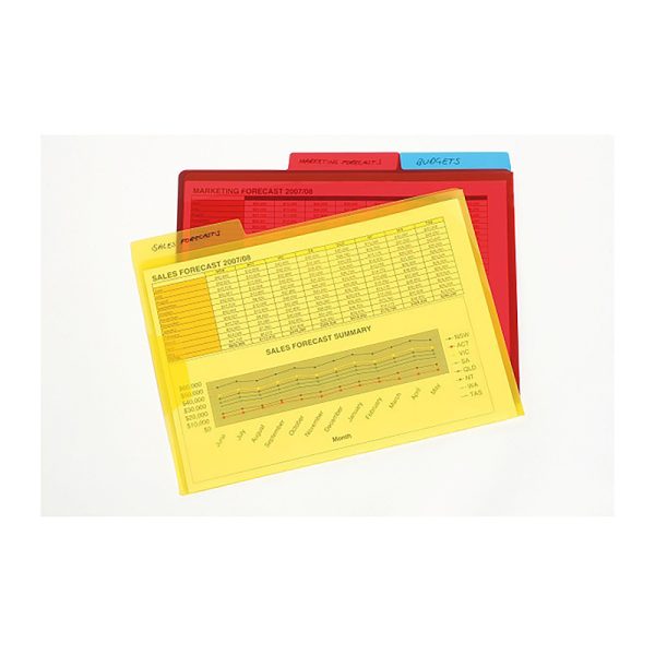 Mgb File A4 LetrFlap & Tab Pk3