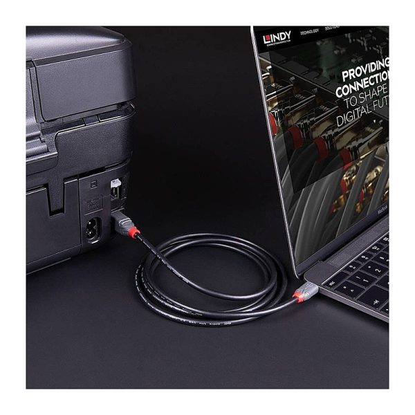 Lindy 2m USB 2.0 Type C to B - Image 5