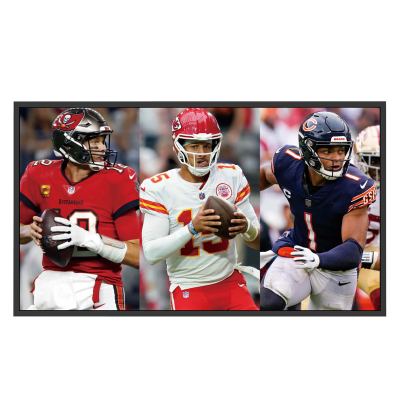 Mitsumaru Outdoor TV IP65 75''