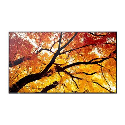 SHARP M-series 65'' Display